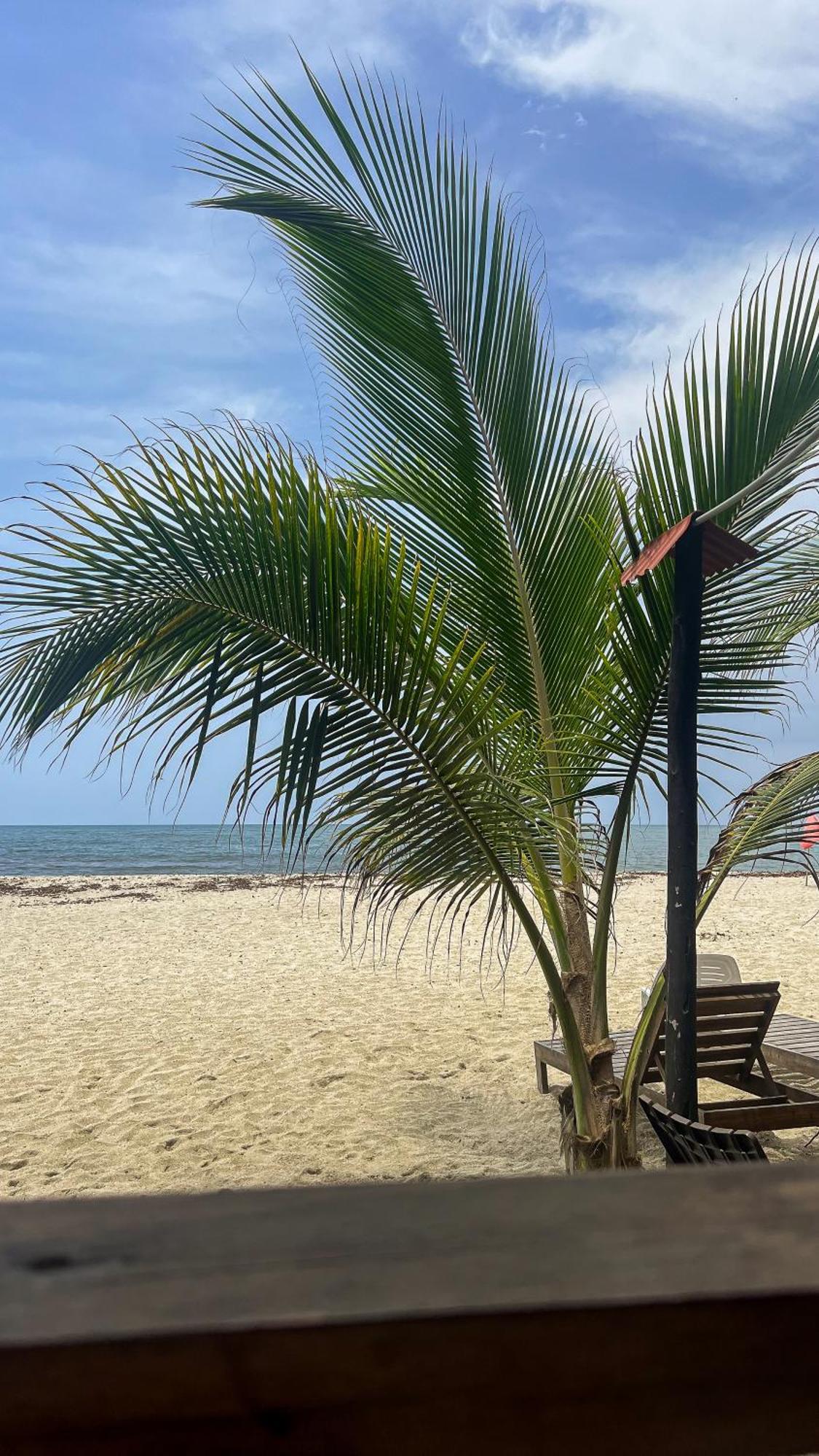 Hostal Mocambo Beach Guachaca Exteriér fotografie